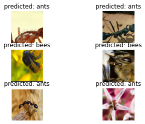 ants_bees_2.png