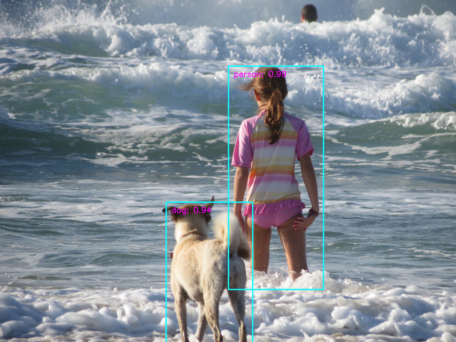 object_detection_5.jpg